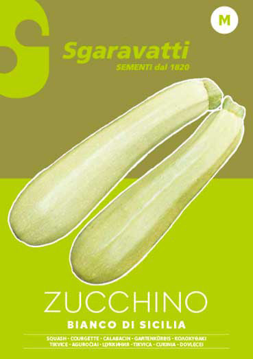 Sicilian Long White Zucchini