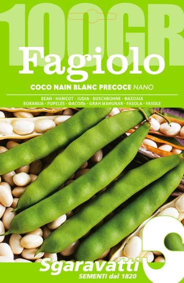 Coco Nain Blanc Précoce Bean