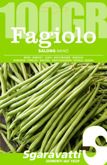 Fagiolo Balong