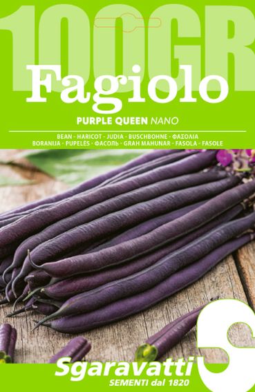 Fagiolo Purple Queen