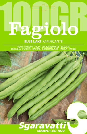 Fagiolo Blue Lake
