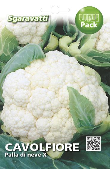 Cavolfiore PALLA DI NEVE / Natalino - FINCO Agricoltura Srl - Foto 13