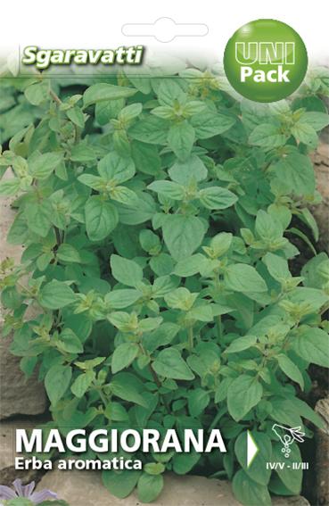 Semi di Maggiorana Gentile per coltivare piante aromatiche – Sgaravatti ...