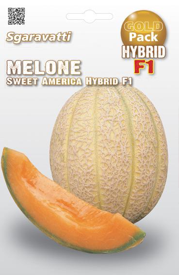 Semi di Melone Sweet America