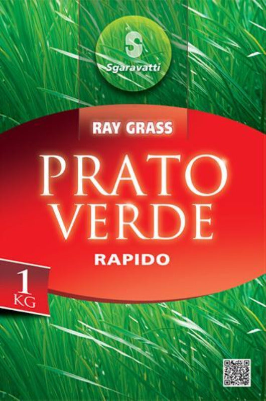Sementi da prato di Ray Grass - Prato Verde - Rapido