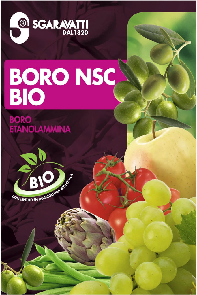 Boro NSC Bio Etanolamina Fungicida,