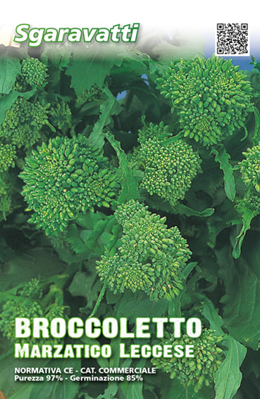 Semi di Broccoletto Marzatico Leccese Cima Grossissima