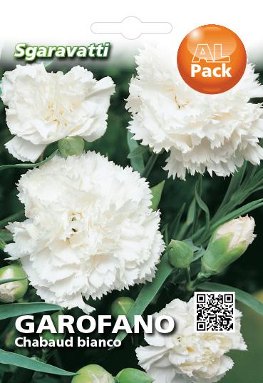 Semi Di Garofano Chabaud Doppio Rosso Batlle - Per Aiuole E Fiori Recisi - Foto 4