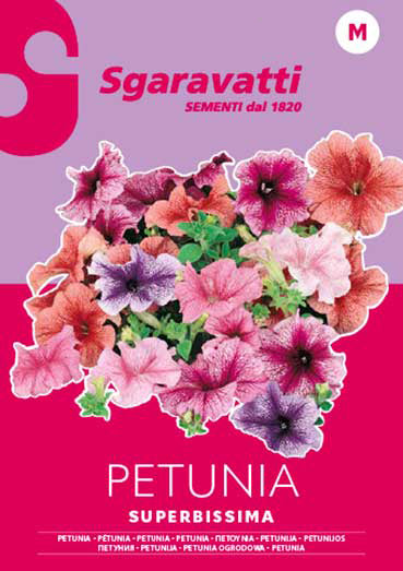 Hybrid Petunia Superbissima Mixture