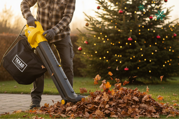 SPECIAL GIFT ASPIRATORE/SOFFIATORE ELETTRICO