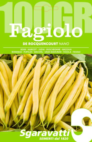 Fagiolo De Rocquencourt