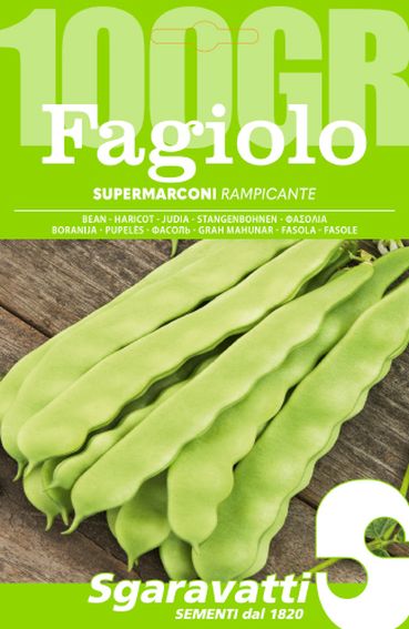 Acquista SEMI DI FAGIOLO METRO STRINGA RAMPICANTE Acquista SEMI DI FAGIOLO METRO STRINGA RAMPICANTE