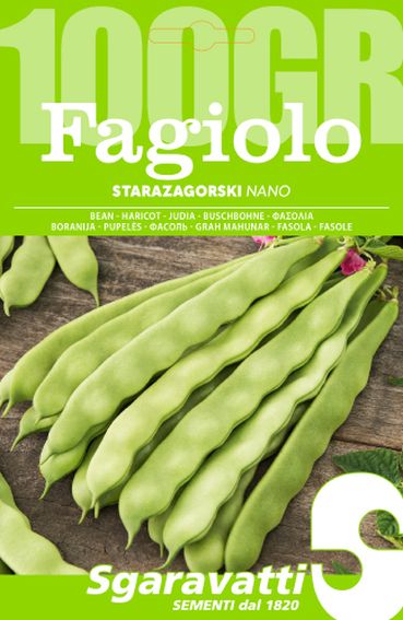 Immagine di un mazzetto di fagioli con baccello verde e piatto su un tavolo di legno 