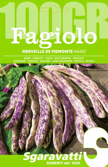 Fagiolo Merveille de Piemonte