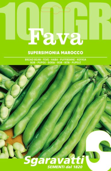 Aguadulce Supersimonia Broad Bean