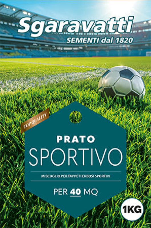 Coverciano - Prato Verde - Sportivo