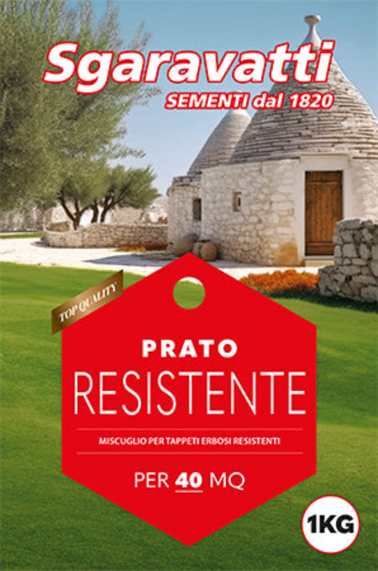 Prato Resistente - Evergreen