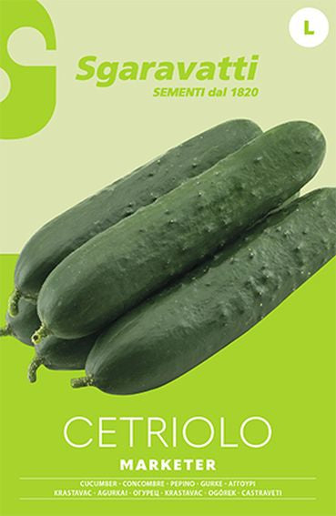 Cetriolo Marketer