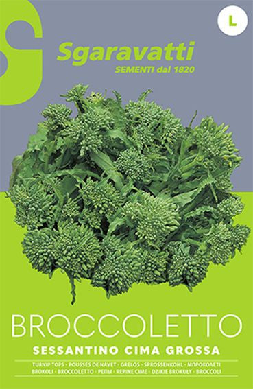 Broccoletto Sessantino a Cima Grossa