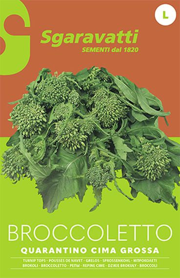 Broccoletto Quarantino a Cima Grossa