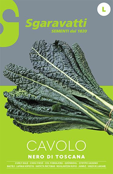 Tuscanian Lancinato Black Cabbage