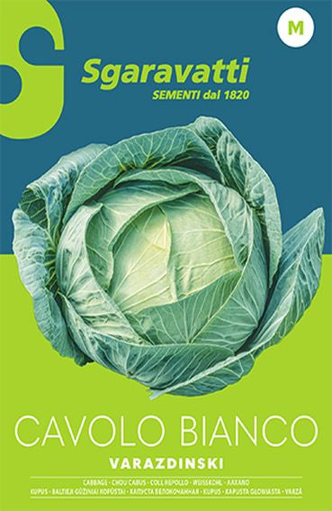 Varazdinski Cabbage