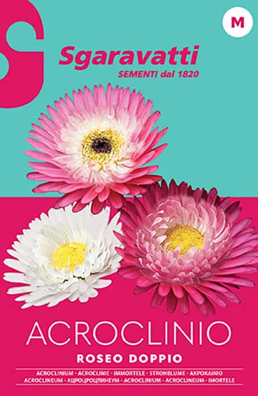 50 Bianco Semi Di Fiori Di Sera Matthiola Stock - Italia - Foto 7