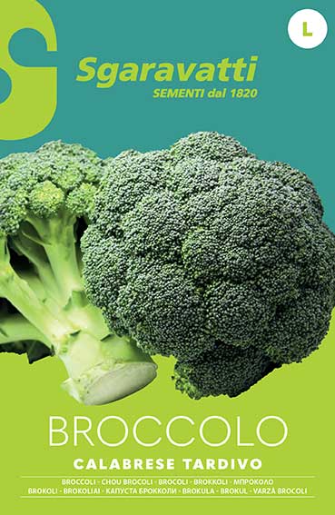 Late Calabrese Branchy Broccoli Cabbage