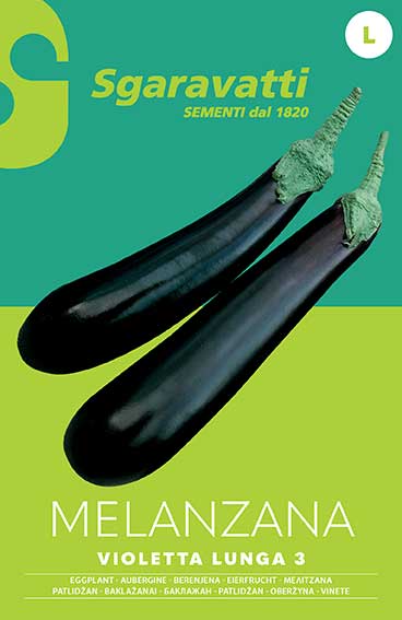 Long Violet Eggplant 3