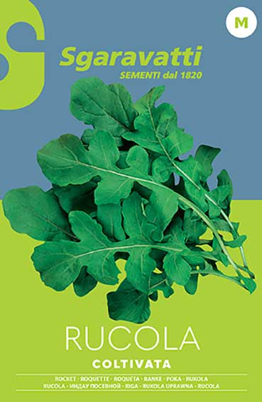 Rucola (Eruca Sativa)