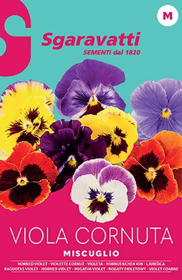 Viola Cornuta Mix