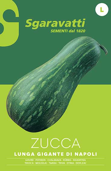 Zucca Lunga Gigante di Napoli