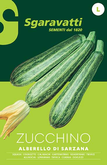 "Alberello di Sarzana" Zucchini