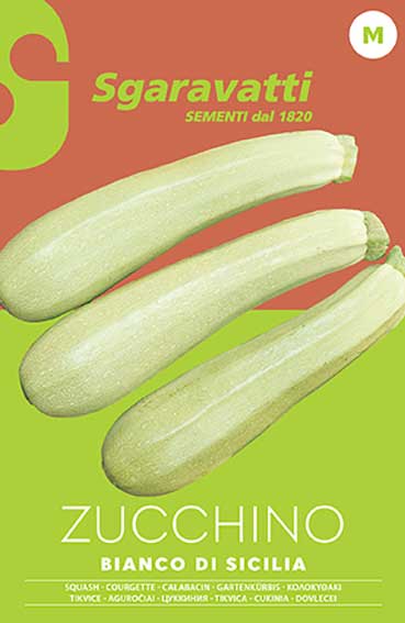 Sicilian Long White Zucchini