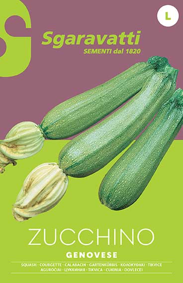 Genoese Zucchini