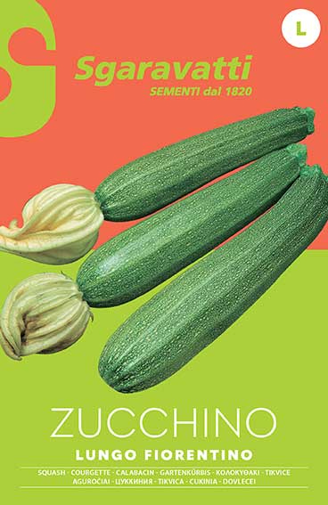 Long Florentine Zucchini