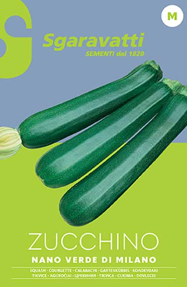 Milan Green Dwarf Zucchini