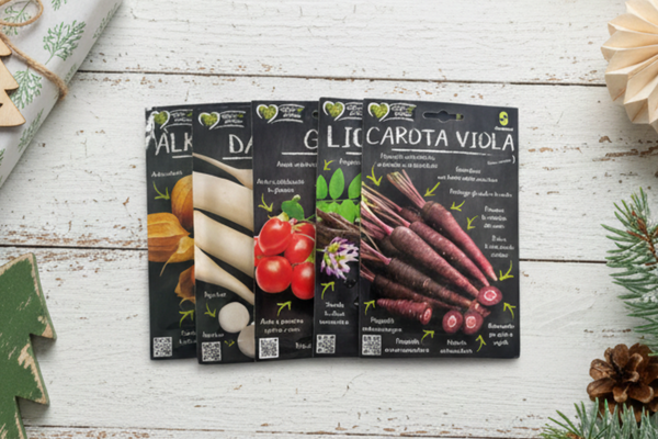 SPECIAL GIFT CUOR DI SALUTE