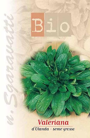 wall hanger plant pots Briza Pocket Wall Hanging or Tabletop Planters, Set of 3 by Artisan Living main image 1