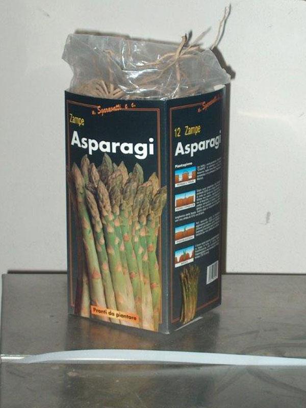 Zampe di Asparagi