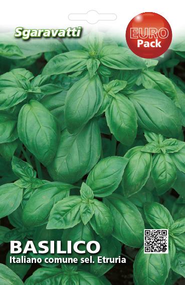 50 Semi Di Basilico Liquirizia Freschi, Pianta Aromatica Ideale Per Giardino E Balcone