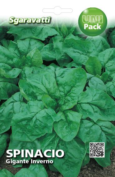 Bustina Di Semi Di Spinacio Gigante Di Inverno - Foto 8