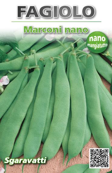 Semi di Fagioli - Bio Legumi Italia Semi di Fagioli - Bio Legumi Italia