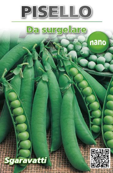 SEMI DI PISELLI RAMPICANTI GRANO RUGOSO BLUMEN SEMI DI PISELLI RAMPICANTI GRANO RUGOSO BLUMEN