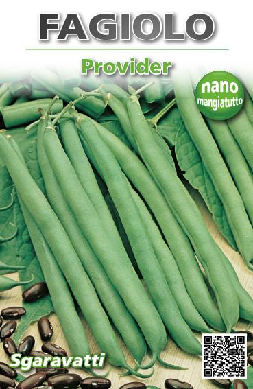 Semi Di Fagiolo Nano Purple King - 100 Grammi, Per Orto, Colore Viola, Semina Da Aprile A Luglio - Foto 7