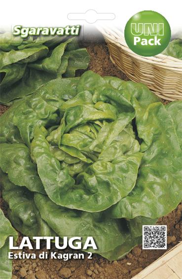 Semi Di Lattuga Batavia Bionda Di Parigi - Foto 6