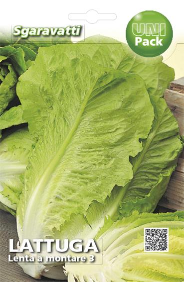 Semi Di Lattuga Misto - 16 Varietà Rare, 100 Semi Ciascuna, Naturali E Raccolti A Mano In Portogallo, Per Orto E Balcone - Foto 14