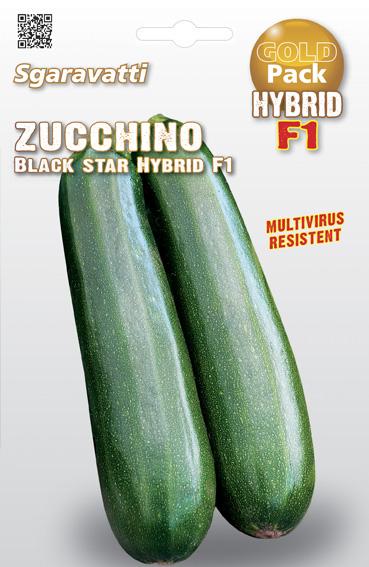 Semi di Zucchino Black Star