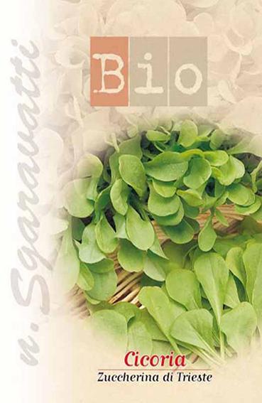 Semi di Cicoria Zuccherina di Trieste Bio