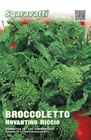 Semi di Broccoletto Novantino Riccio S Marzano